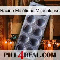 Racine Maléfique Miraculeuse 30